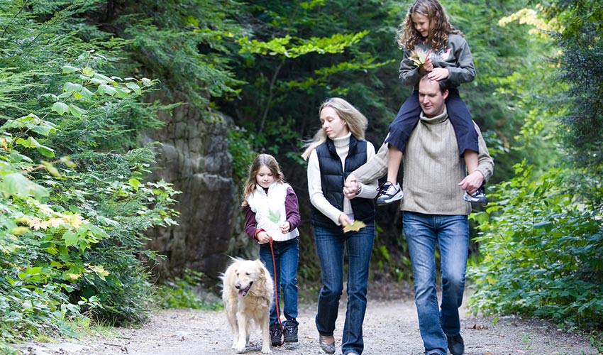 family walking dog in woods